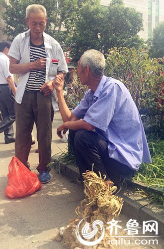 戴仁喜和孟凡生两位老人商量着拜访老师