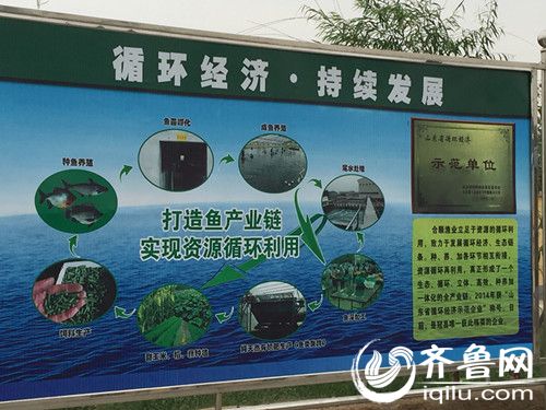 立体生态种养区打造鱼产业链 实现资源循环利用