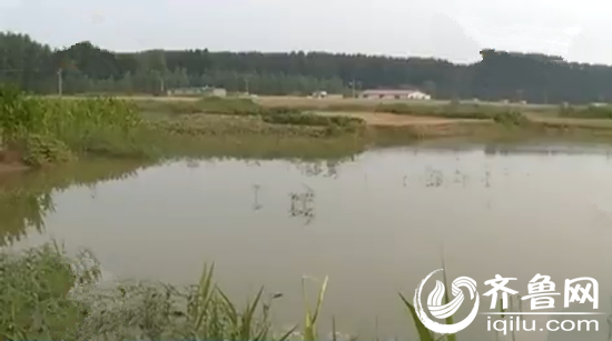 三个男孩溺水的河沟
