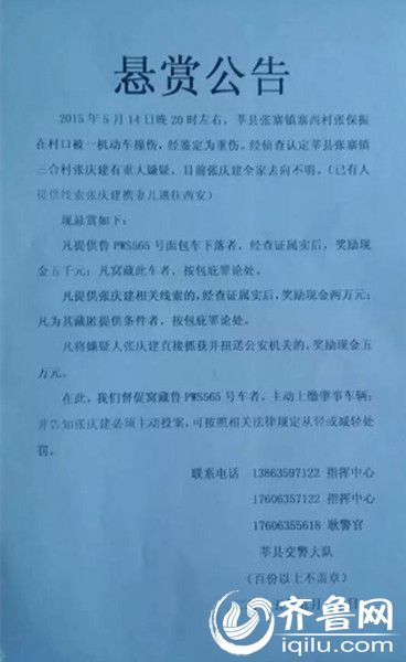 QQ图片20150821171728_副本